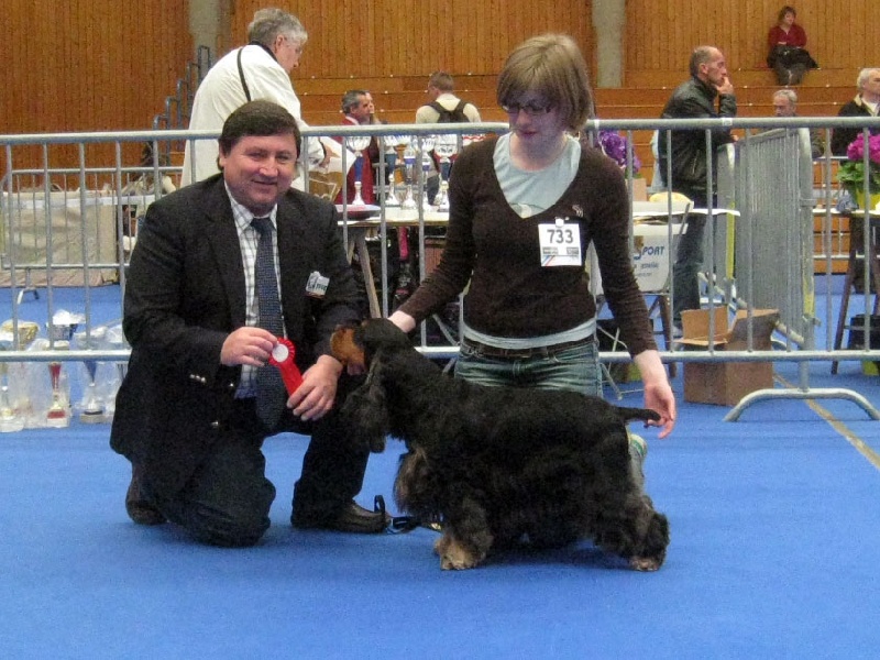Junior en exposition